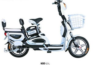 南京 電動車上牌可預約