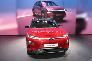 現代工會主席擔心電動車行業就業前景