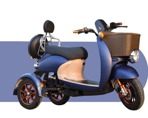 電動(dòng)車租賃系統(tǒng)開發(fā),幫助租賃市場(chǎng)健康發(fā)展