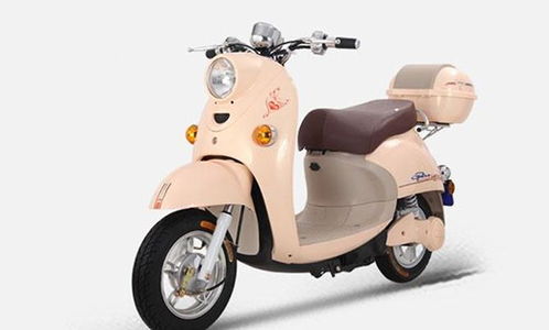 十大電動車品牌謀求新發展 產品和服務是關鍵