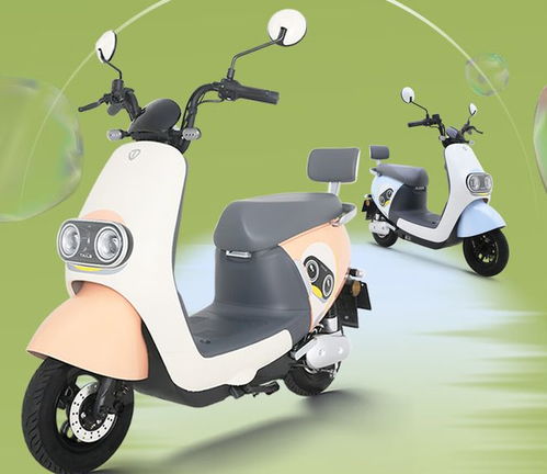 3款全新電動(dòng)車,造型漂亮,騎行舒適,續(xù)航80公里,適合通勤代步